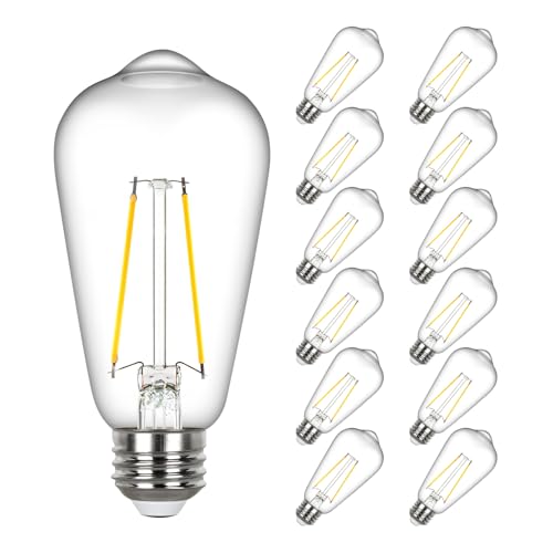 Vintage LED Edison Bulb 60 watt Equivalent (12 Count)