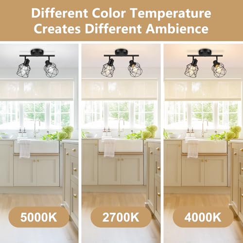 2 Lights Kitchen Light Fixtures Ceiling Mount