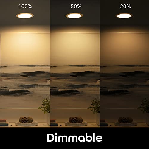 LUX Drop Wi Fi LED Light Bulb
