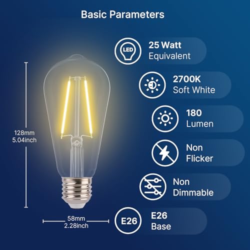 ST19 LED Edison Bulbs for String Lights (12 Count)