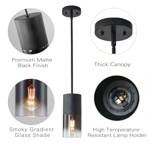 Pendant Light Fixtures (2 Count)