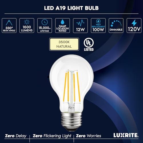 Vintage A19 LED Light Bulbs 100W Equivalent (6 Count)