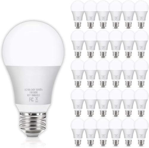 A19 LED Light Bulbs (30 Count)
