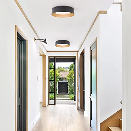 Flush Mount Ceiling Light