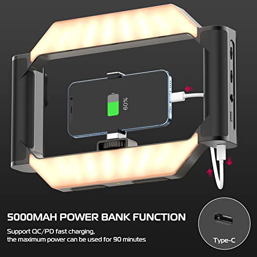 Smartphone Video Rig with Light