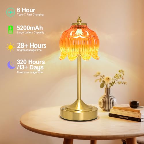 Cordless Table Lamp