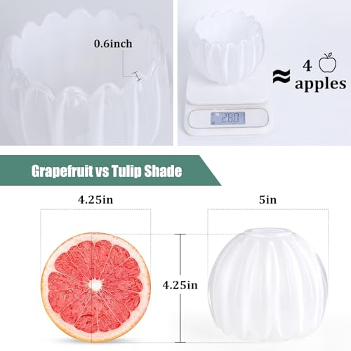 Tulip Lamp Shades Replacement