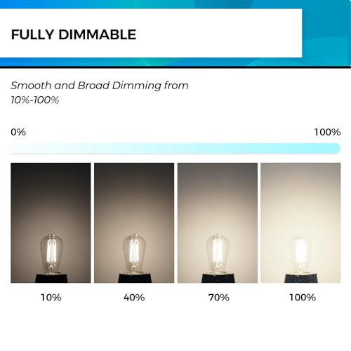 Edison Bulbs Dimmable (4 Count)