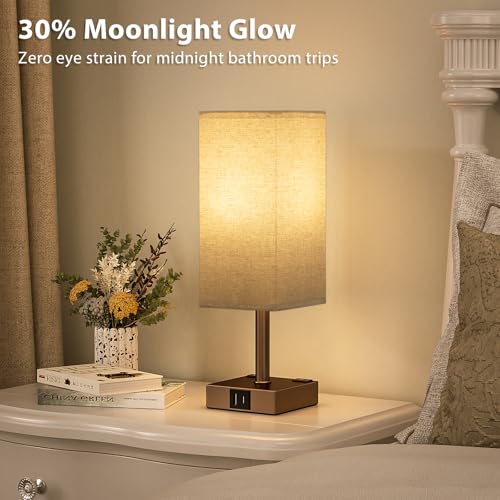 Brown Touch Lamps Set of 2 for Bedroom