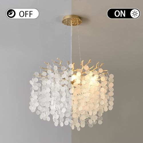 18 Inch Coastal Chandelier 6
