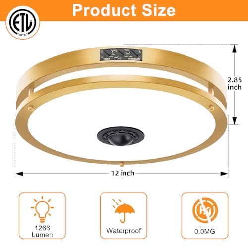 2 Pack 12" LED Motion Sensor Outdoor Ceiling Light (2 Count)