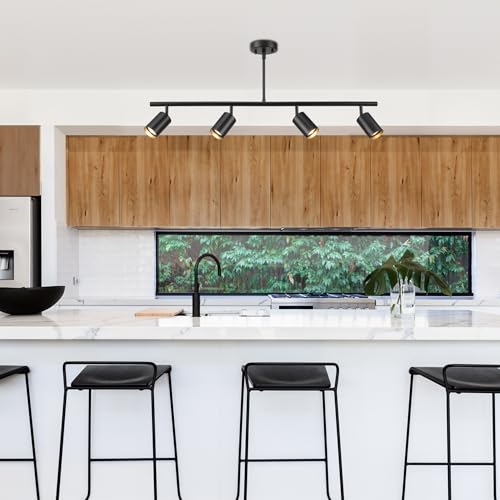 4 Light Track Lighting