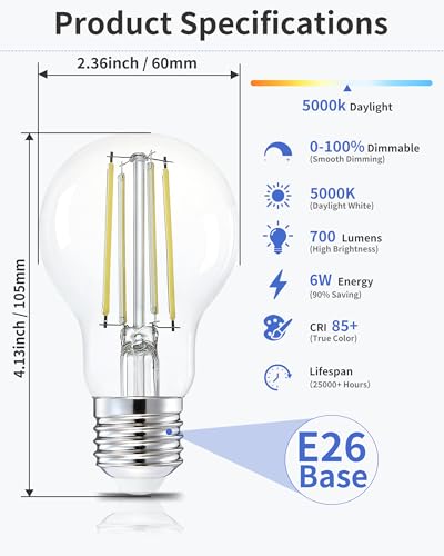 A19 Daylight Edison Bulbs (6 Count)