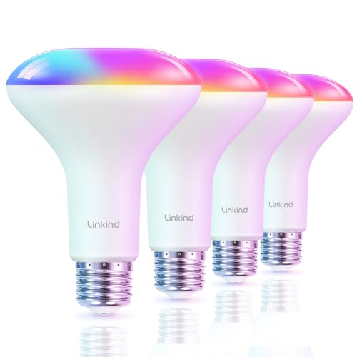 BR30 Smart Light Bulbs (4 Count)