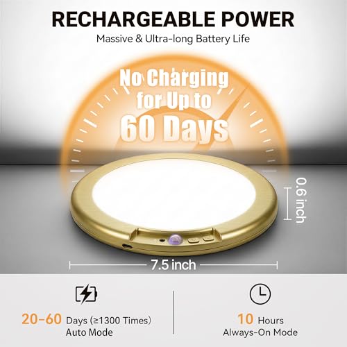 Gold Wireless Closet Lights Motion Sensor Rechargeable Ceiling Light Indoor