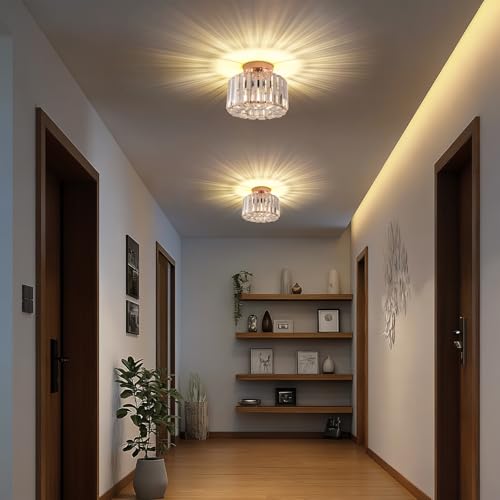Crystal Ceiling Light