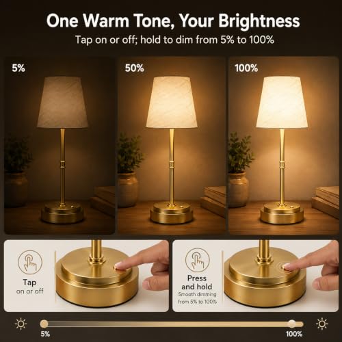 Rechargeable Cordless Table Lamp