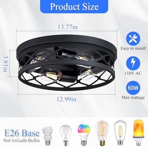 Flush Mount Ceiling Light Fixture (2 Count)