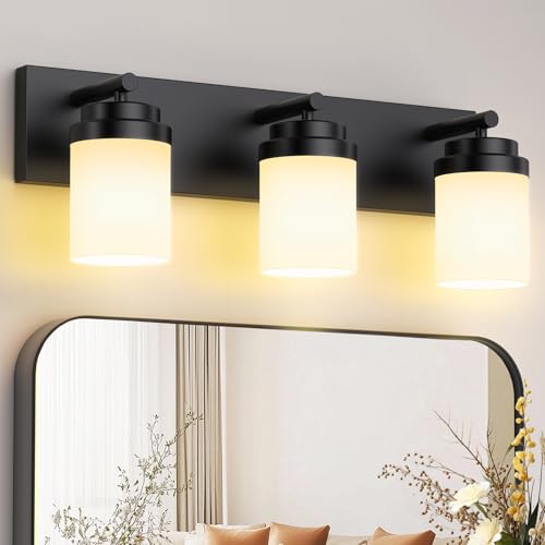 Bathroom Vanity Light Fixture
