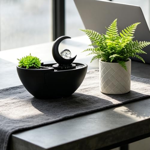 Table Fountain Indoor Water Zen Garden Decor with Succulent Plant