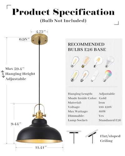 Black and Gold Pendant Light