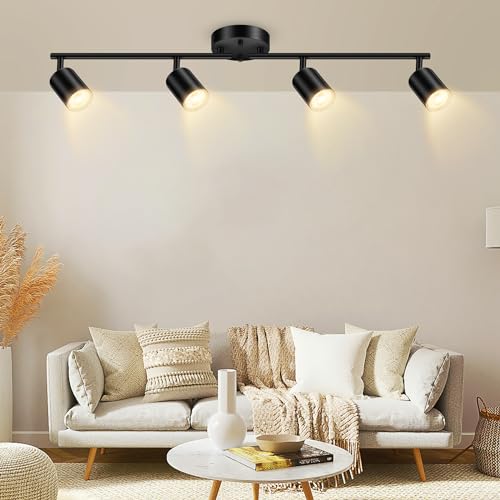 Track Lighting Kit Kitchen