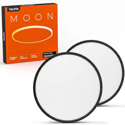 2 Pack 15.8" LED Flush Mount Ceiling Light Fixture (2 Count)