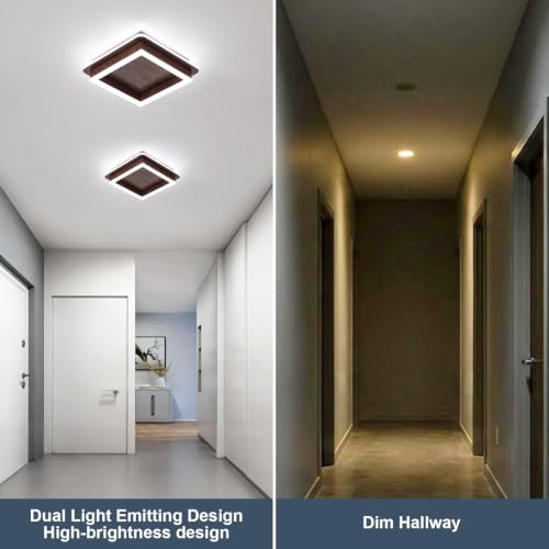 Square Modern LED Light Fixture