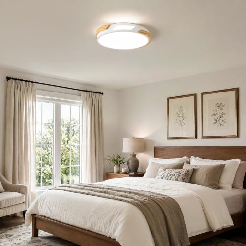 Modern LED Ceiling Light