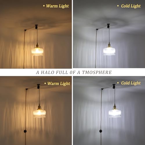 Plug in Pendant Light Hanging Light Fixture Corded On