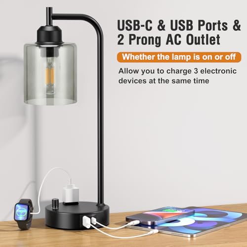 Industrial Desk Lamps for Office Set of 2 (2 Count)