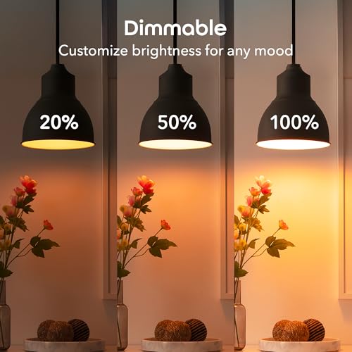 Smart LED Light Bulb A19 Wi (3 Count)