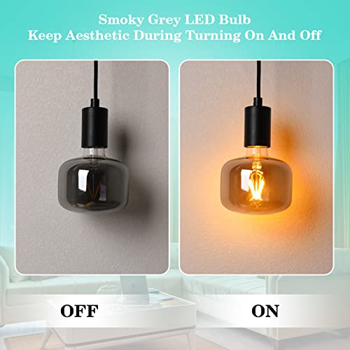 Large Edison Bulbs E26 LED
