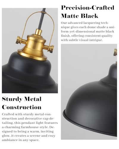 Black and Gold Pendant Light
