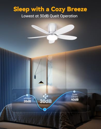 Ceiling Fans with Lights