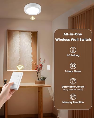 Rechargeable Ceiling Light with Wall Switch Remote
