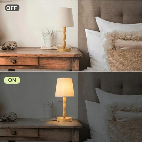 Rechargeable Cordless Table Lamp