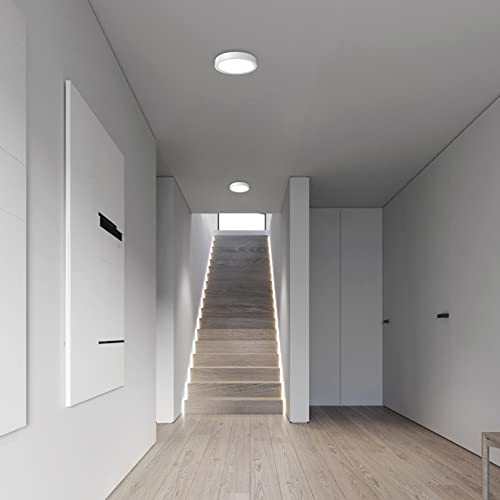 Flush Mount Ceiling Light