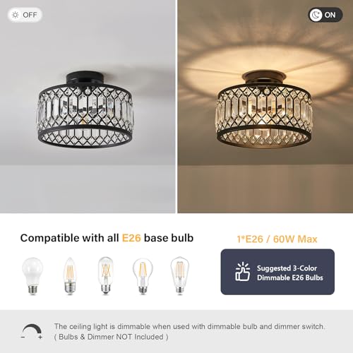 Crystal Black Ceiling Light