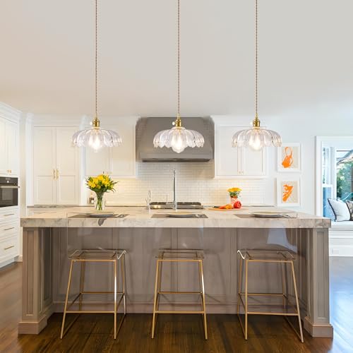 Plug in Pendant Light