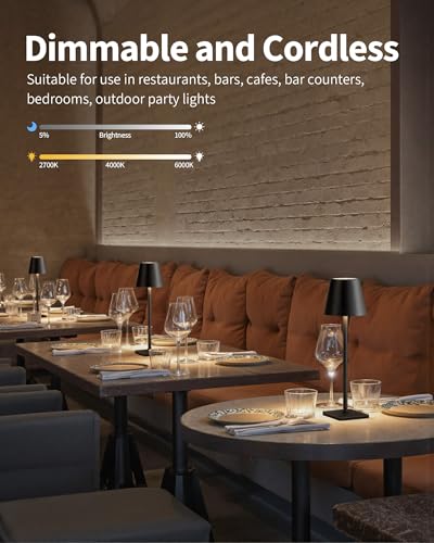 2 Pack Cordless Black Table Lamps (2 Count)