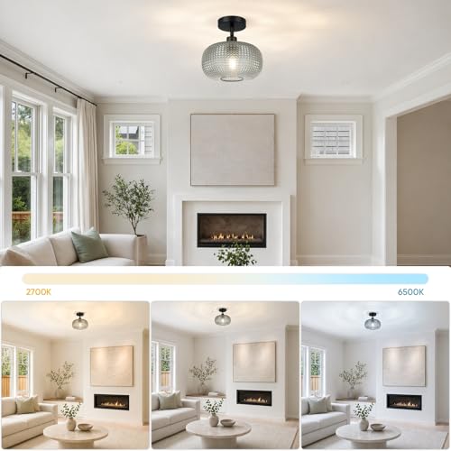 Modern Semi Flush Mount Ceiling Light with Smoky Gray Glass Shade