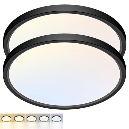 2 Pack LED Flush Mount Ceiling Light (2 Count)
