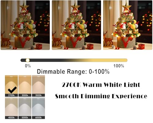 Led Dimmable Edison Light Bulbs 2W (2 Count)