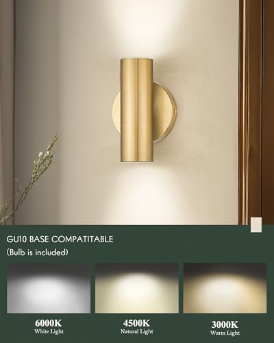 1 Light Wall Sconce