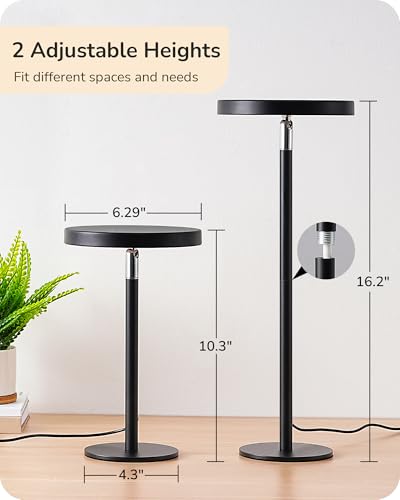 LED Table Lamp