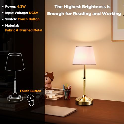 Cordless Table Lamp