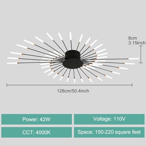 Modern Ceiling Light