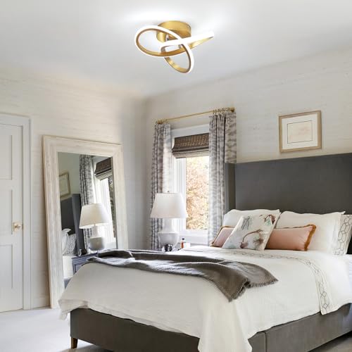 Modern Led Ceiling Light Fixture