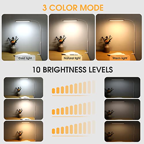 LED Desk Lamp with Clamp